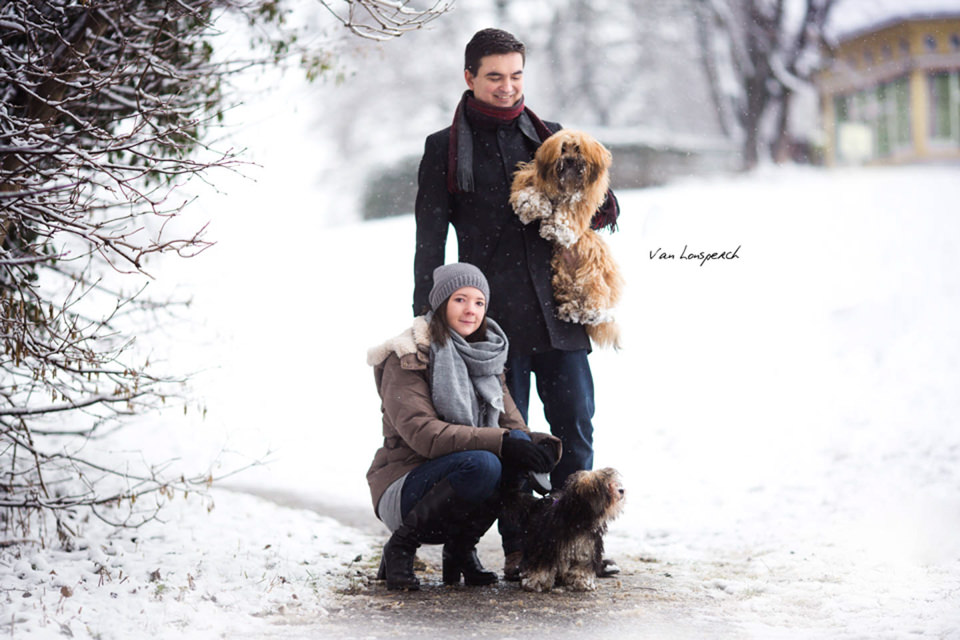 Paarfotos im Schnee mit Hunden